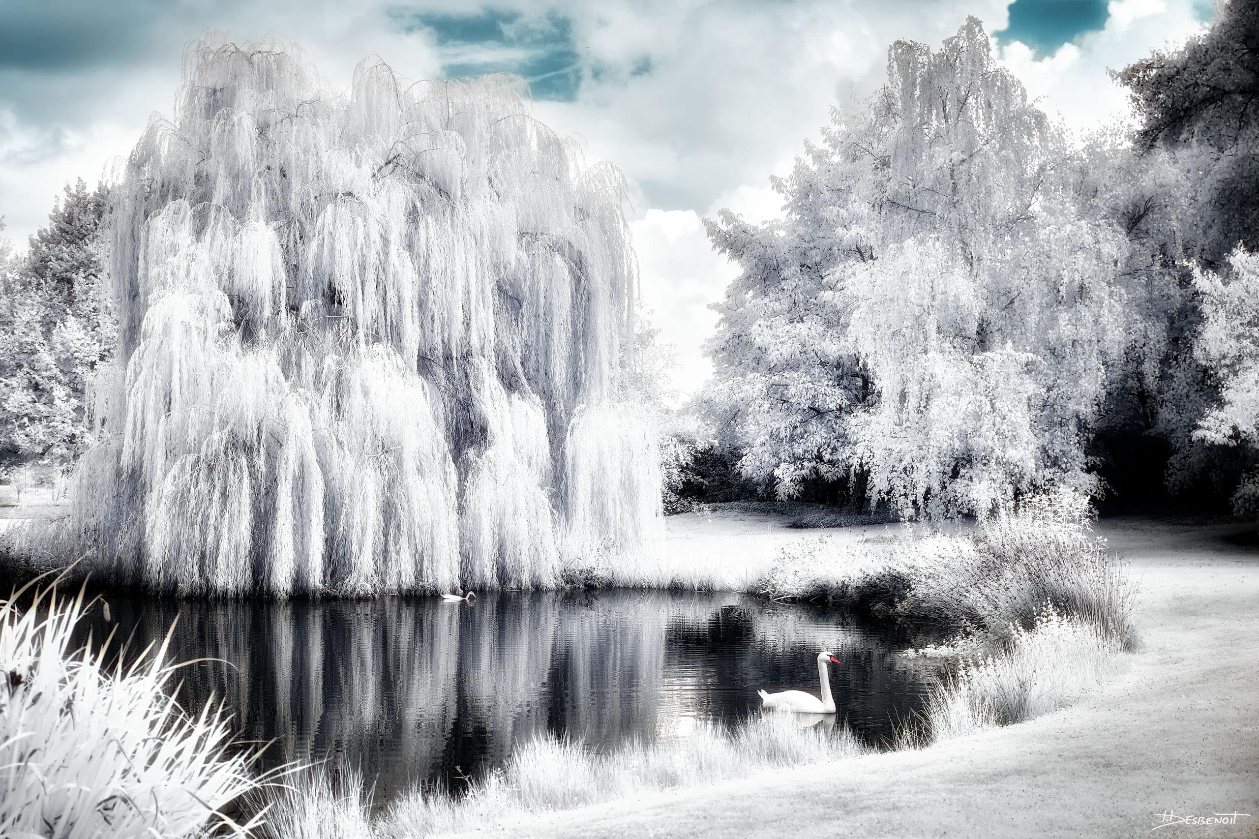 210909140257 MG 0065 1 X3N